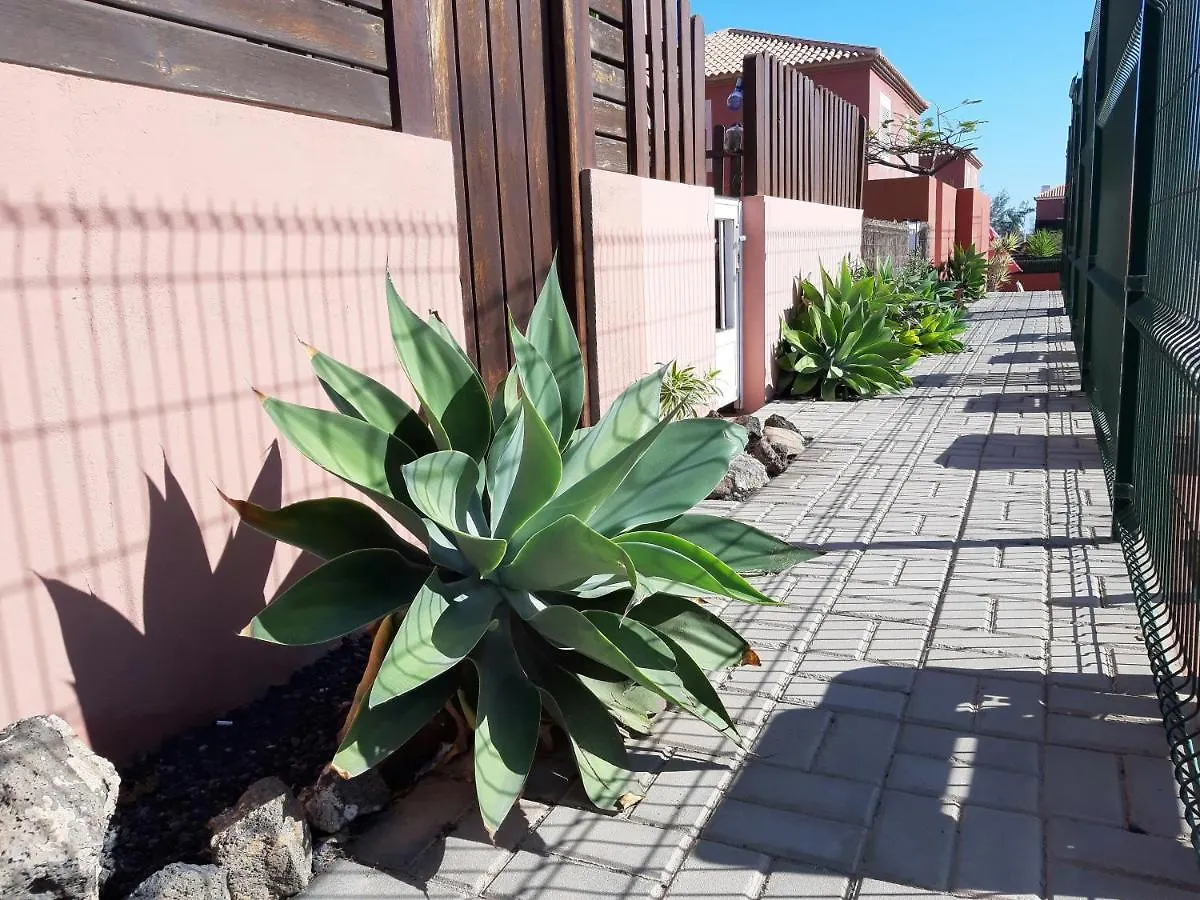 Duplex Aloe Apartment Costa De Antigua 0*,  Spain