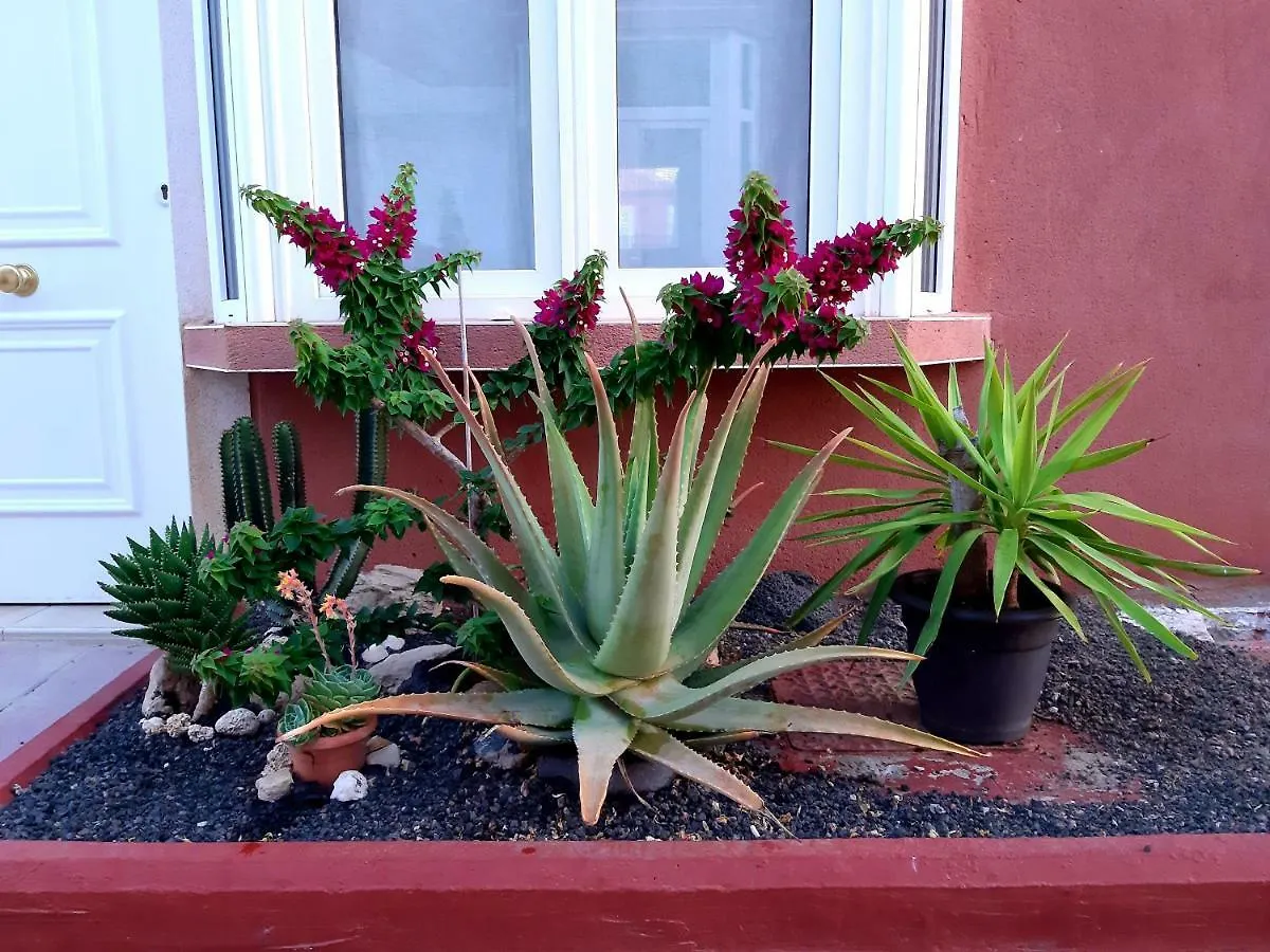 Apartamento Duplex Aloe Costa De Antigua